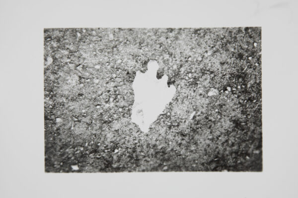 repro CAUE FLASH0026