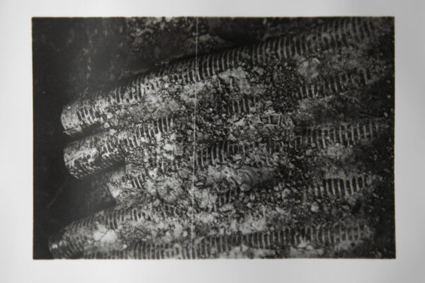 repro CAUE FLASH0027