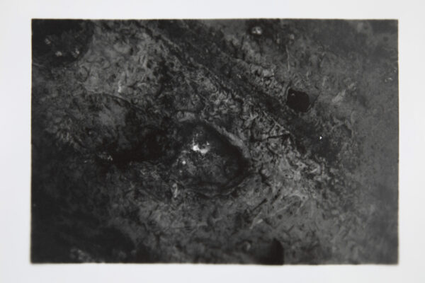 repro CAUE FLASH0031