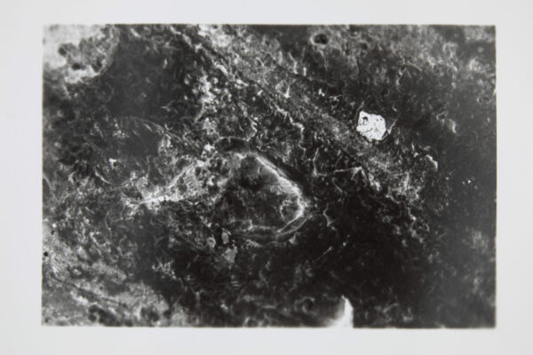 repro CAUE FLASH0034